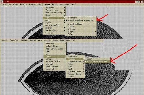 pajek オプション設定
